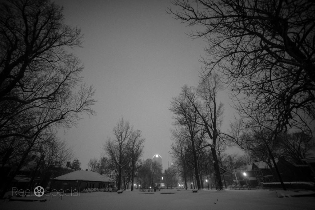Massive Snow Storm in Lexington 4 Gratz Park, one of Lexington's most historic and treasured green spaces.