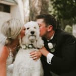 dogs in weddings